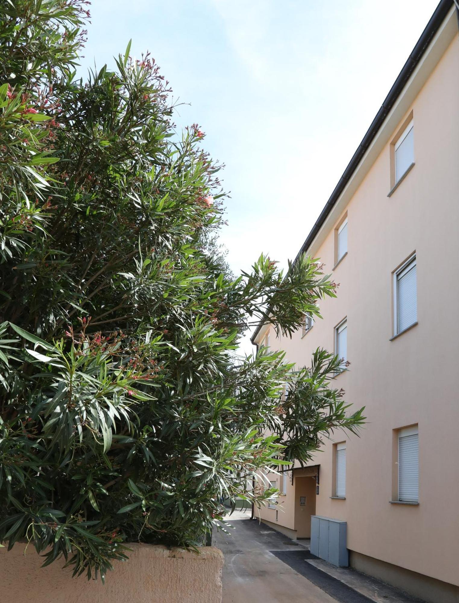 Apartment Loly Medulin Kültér fotó